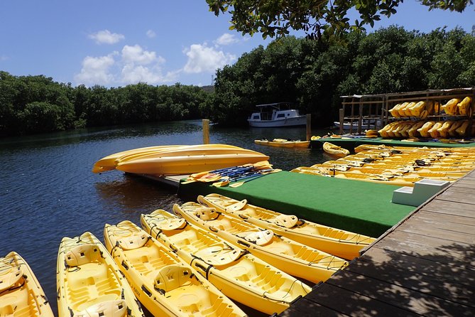 Mangrove Lagoon Kayak Rental in St Thomas - Arriving at Mariendahl Road