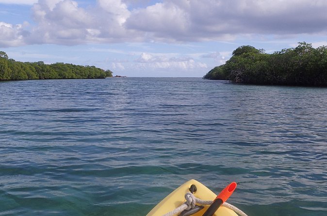 Mangrove Lagoon Kayak Rental in St Thomas - Paddling through tunnels and around the cays