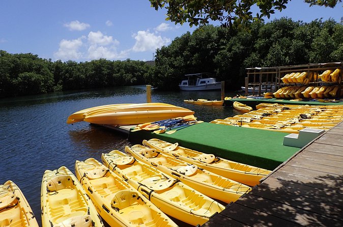 Mangrove Lagoon Kayak Rental in St Thomas - What you may learn if you want a guided outing