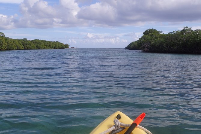 Mangrove Lagoon Kayak Rental in St Thomas - Who will enjoy this most