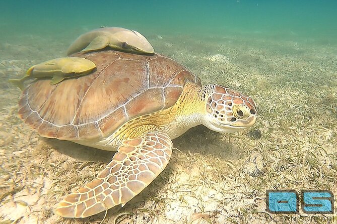 National Park Snorkeling Excursion - Setting out from Red Hook toward St. John