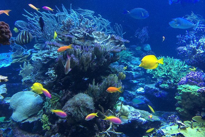 National Park Snorkeling Excursion - The crew makes the difference for beginners