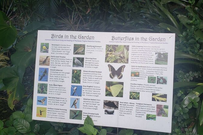 Nature and Sightseeing at Phantasea Tropical Botanical Garden - A small St Thomas garden with a clear purpose