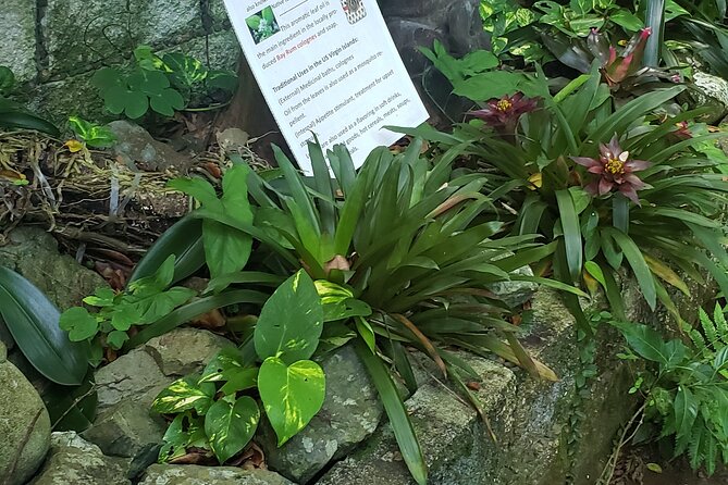 Nature and Sightseeing at Phantasea Tropical Botanical Garden - What the one-hour garden visit feels like