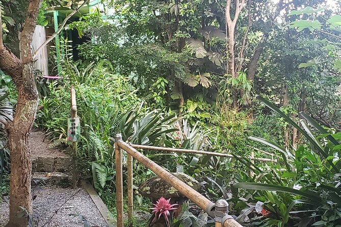Nature and Sightseeing at Phantasea Tropical Botanical Garden - Why the driver-guide and pickup may be worth the price