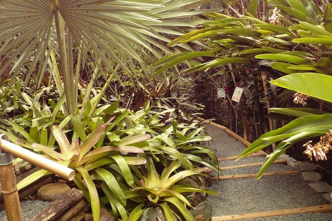 Nature and Sightseeing at Phantasea Tropical Botanical Garden - Who should book the garden visit