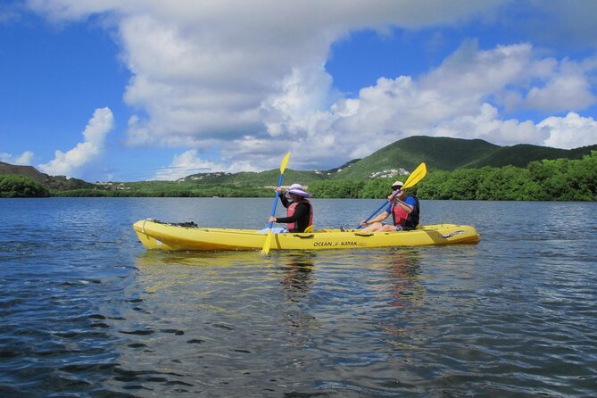 On Your Own: Kayak in the Mangrove Lagoon - Is $69 a fair price?