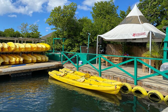 On Your Own: Kayak in the Mangrove Lagoon - Paddling through the Inner Mangrove Lagoon
