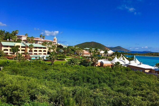 PARADISE TAXI & TOURS USVI-St. Thomas- Airport Transfer to Ritz Carlton Elysian - What the strong rating tells you, and what it does not