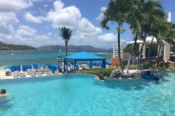 PARADISE TAXI & TOURS USVI-St. Thomas- Airport Transfer to Ritz Carlton Elysian - Accessibility, animals, and participation