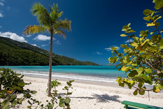 Paradise Taxi & Tours USVI-St.Thomas-Virgin Islands-Island Magen's Beach Tour - Key points at a glance
