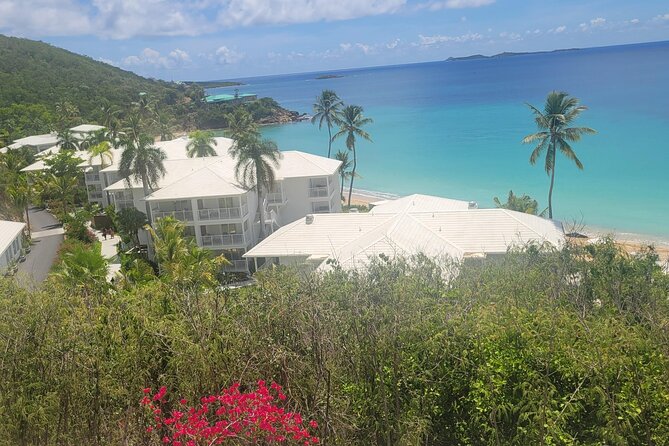 PARADISE TAXI & TOURS USVI-Transport Frenchmans Reef / Buoy Haus - Communication is the part to manage carefully