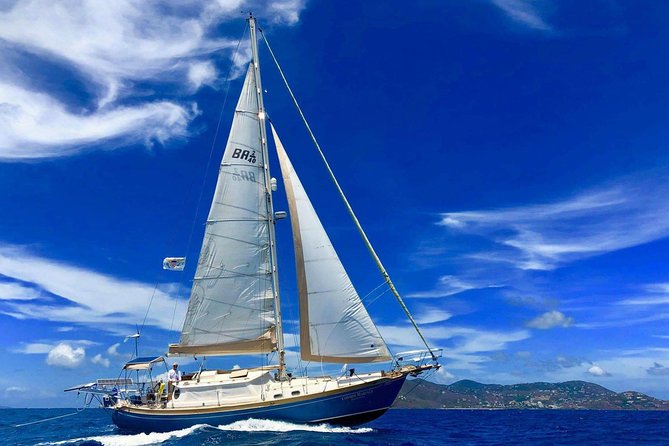 Private Full Day Sail/ Snorkel Experience USVI (Sapphire Marina, STT pick up) - Key points at a glance
