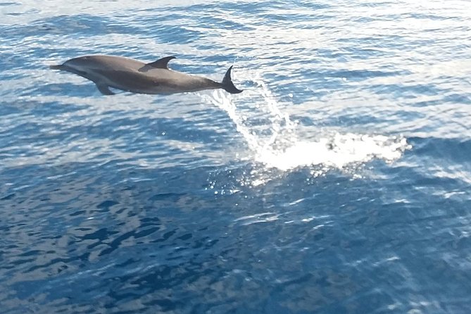 Private Full Day Sail/ Snorkel Experience USVI (Sapphire Marina, STT pick up) - Who will enjoy Cosmos most