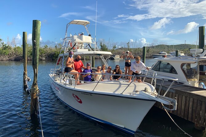 Private Half-Day Guided Snorkeling Charter in St. Thomas - Starting at Saga Haven Marina