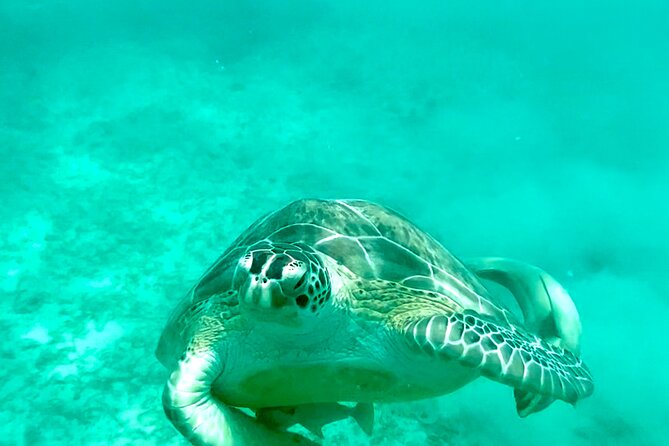 Private Luxury Catamaran Half Day Charter - Snacks and Drinks After the Water