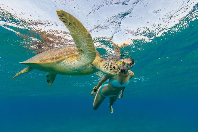 Private Luxury Charter Aboard New Multi-Deck Lagoon Catamaran - Snorkeling Around Buck Island, St. John, and the Nearby Cays