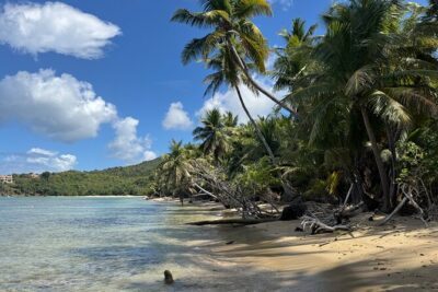 Private Open-Air Jeep Adventure with Tropic Sun –Hidden Beaches
