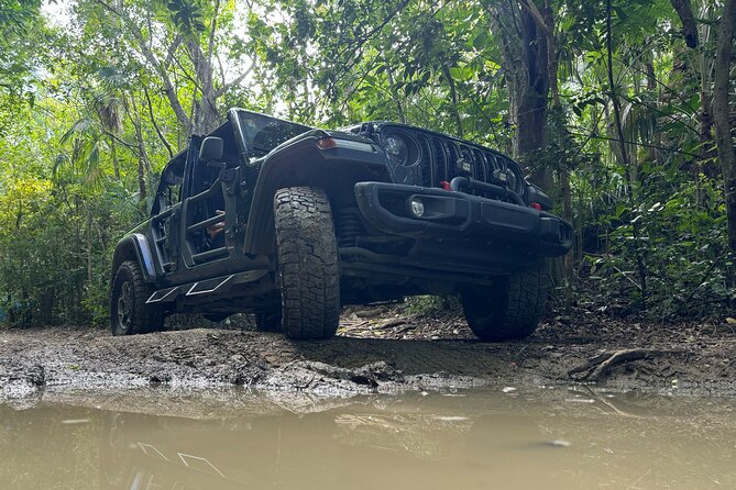 Private Open-Air Jeep Adventure with Tropic Sun –Hidden Beaches - Drake’s Seat is brief but worth the camera stop