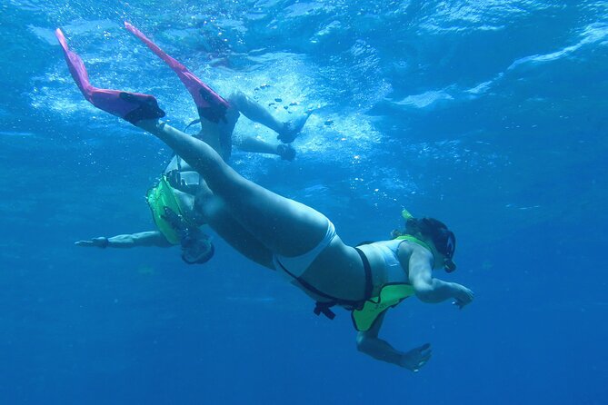 Reef and Turtle Adventure - Kayak and Snorkel Tour - Key points to know before you book