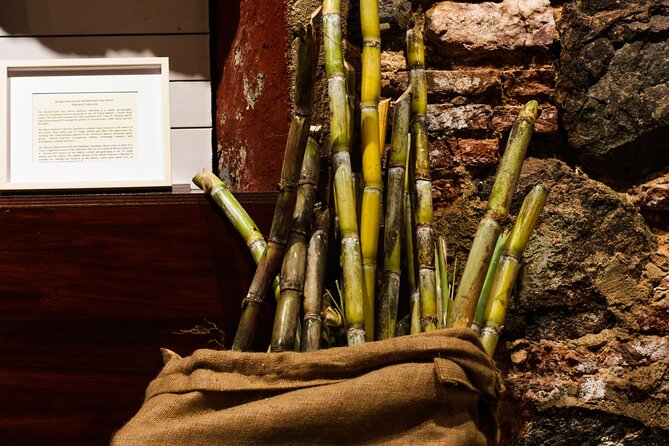 Rum Tasting Experience in the Old Barrel House - Tasting Four to Seven Sugarcane Rums