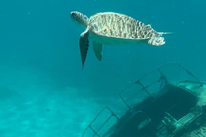 Sail and Snorkel Private Charter - Mid-Day Sail 1230pm to Sunset - A flexible route through St. Thomas and St. John
