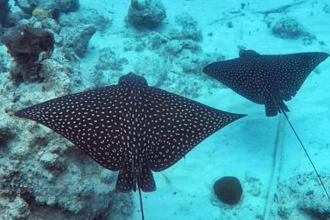 Sail/Snorkel Adventure from Sapphire Marina,STT NO CROWDS~ 6 GUEST MAX - The highlights at a glance