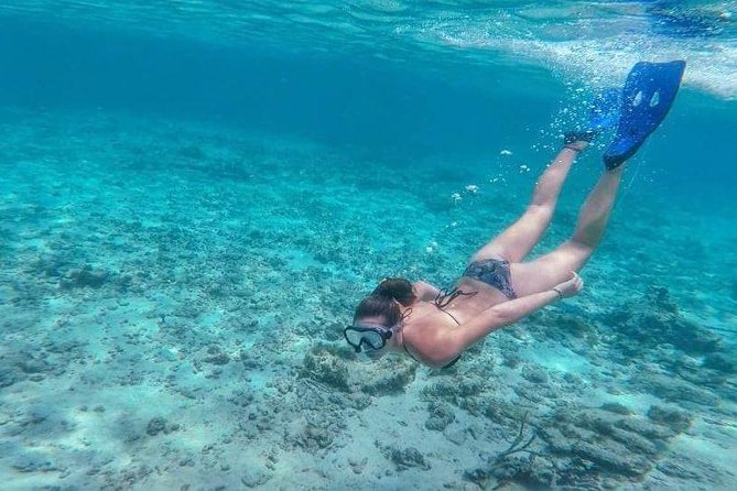 Sail/Snorkel Adventure from Sapphire Marina,STT NO CROWDS~ 6 GUEST MAX - Equipment, flotation, and help in the water