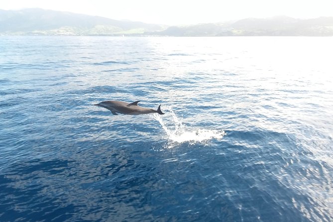 Sail/Snorkel Adventure from Sapphire Marina,STT NO CROWDS~ 6 GUEST MAX - What $159 buys you