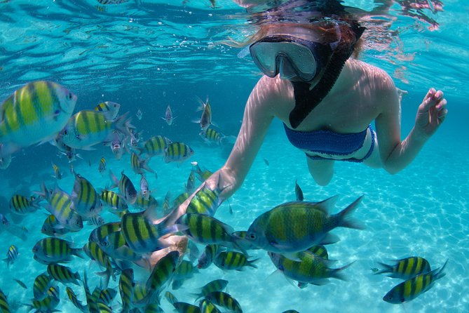 Sail/Snorkel Adventure from Sapphire Marina,STT NO CROWDS~ 6 GUEST MAX - Sailing toward St. John and the best available cove