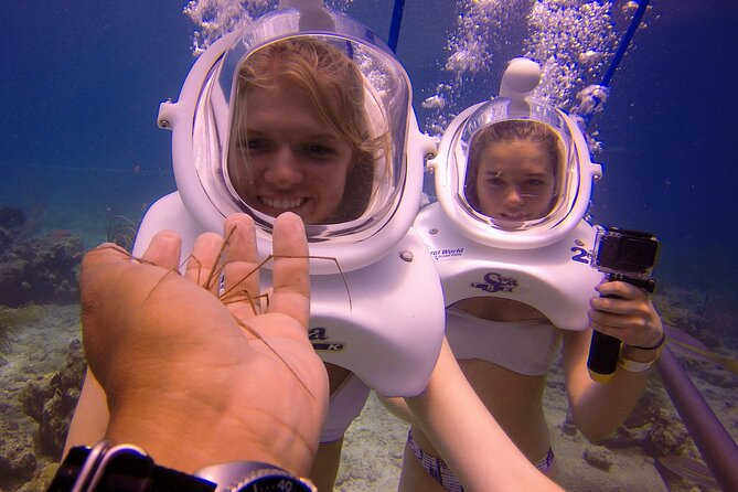 Sea Trek Helmet Dive at Coral World Ocean Park - What Makes the Park Admission Useful