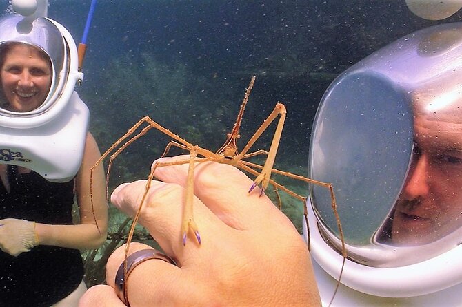 Sea Trek Helmet Dive at Coral World Ocean Park - Photos, Memories, and the Extra Cost