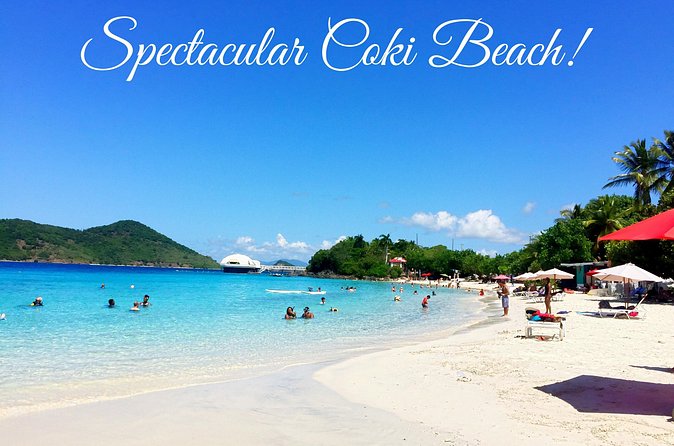 Sightseeing and Swimming Excursion - Group size, comfort, and practical limits