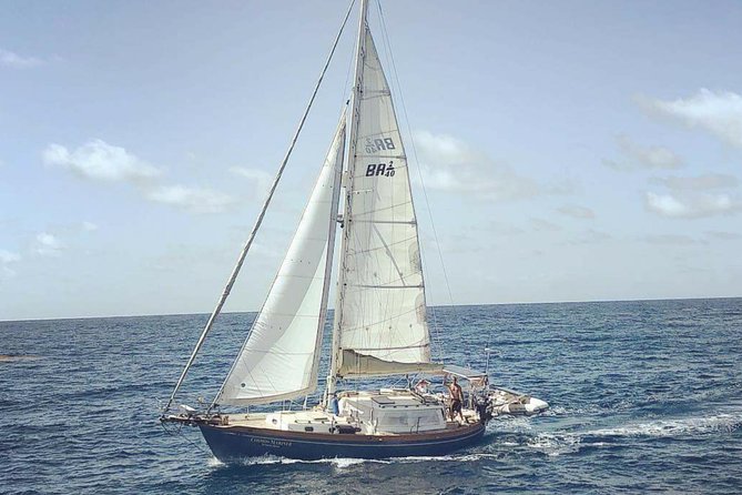 Simply Sailing Private Sail from Sapphire Marina - Key points to know before booking