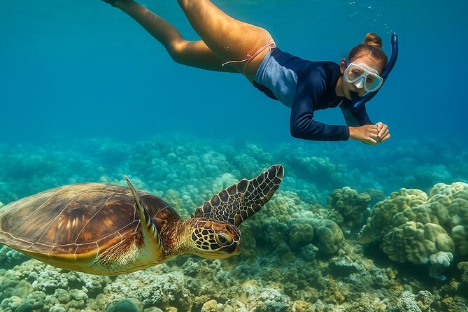 Snorkel and Sunset Cruise from Margaritaville Resort - From Margaritaville to the reef at 3 PM