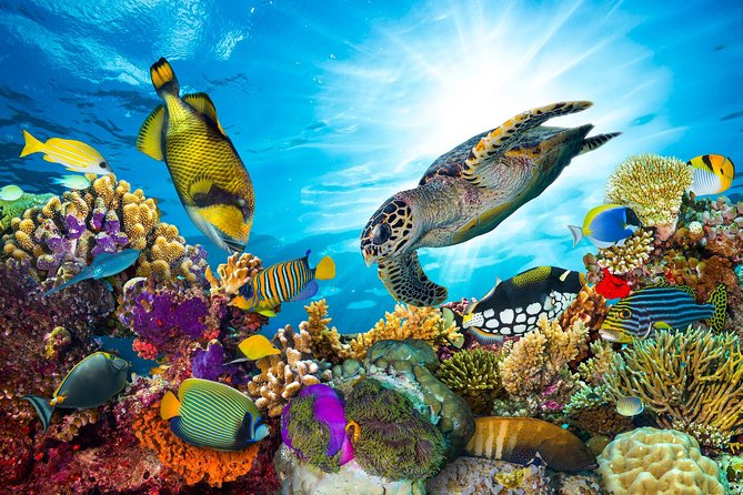 Snorkel Cat All Inclusive Adventure - The first stop near St. John National Park