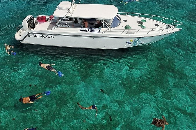Snorkel St. John Tour from Sapphire and Margaritaville - Lunch, dessert, and an open bar offshore