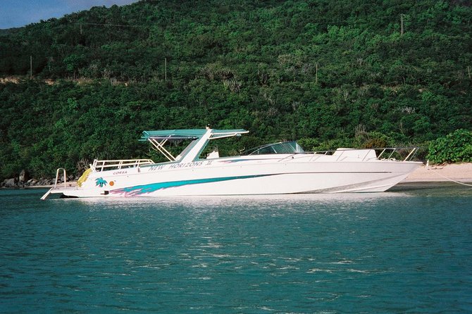 Snorkel St. John Tour from Sapphire and Margaritaville - What the crew adds to the day