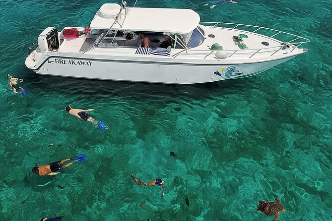 Snorkel St. John Tour from Sapphire and Margaritaville - Music, group size, and the feel onboard