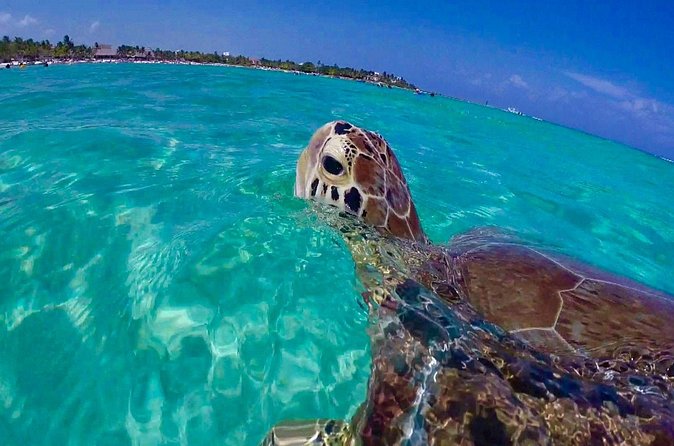 Snorkel St. John Tour from Sapphire and Margaritaville - Is $180 a fair price?