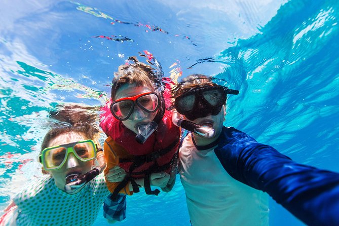 Snorkel & Swim with Turtles. Semi Private Tour to Buck Island & Honeymoon Beach - Weather changes can improve the day