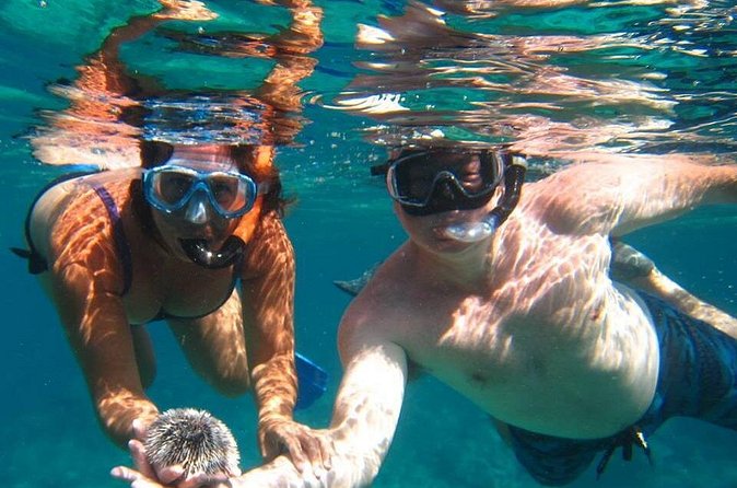 Snorkel Tour - First 45-minute snorkel stop