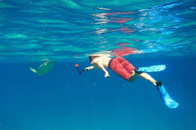 Snorkel Tour - Getting comfortable with the equipment