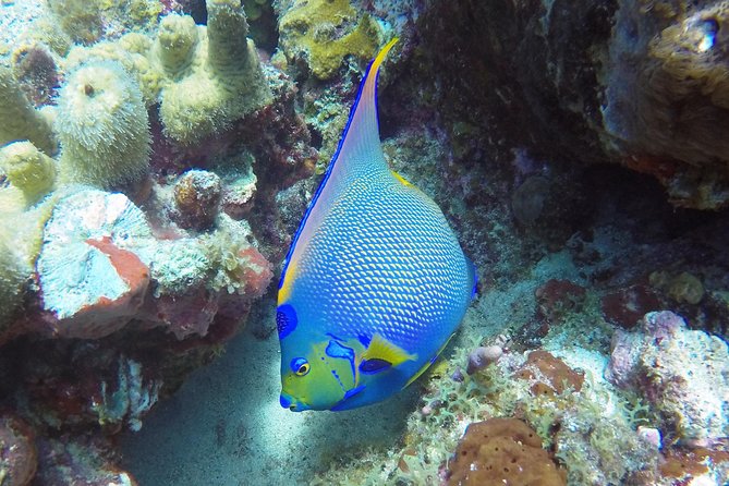 Snorkeling Adventure in St Thomas - The boat ride between sites