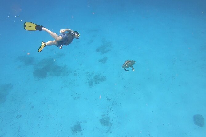 Snorkeling Gear Rental - Delivery to Your Hotel, Airbnb, or Beach