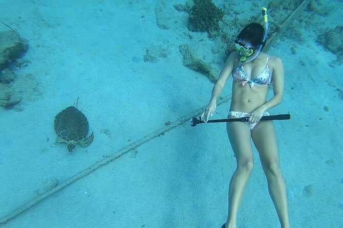 Snorkeling Gear Rental - One Day or Seven Days?