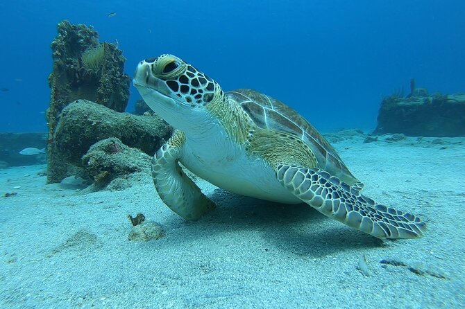 Snorkeling Gear Rental - What the Experience Does Not Include