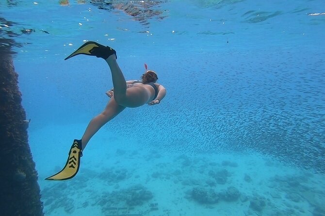 Snorkeling Gear Rental - The Three Pieces of Gear