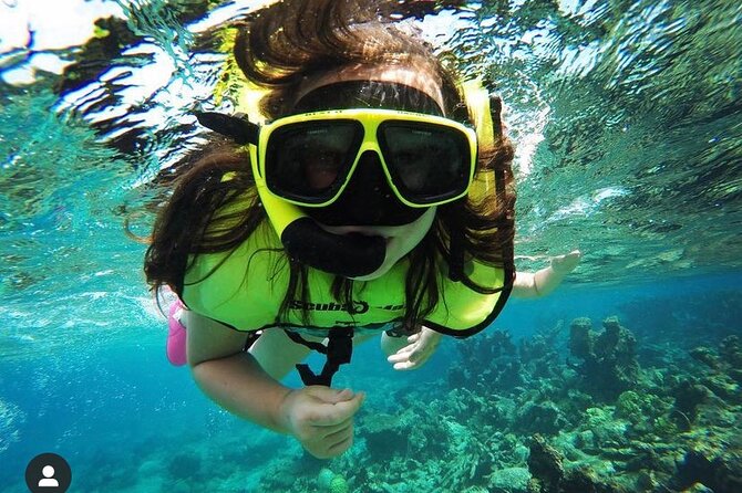 Snorkeling with Sea Turtles - What the experience is really about