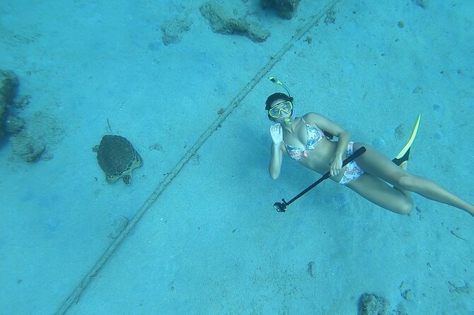 Snorkeling with Sea Turtles - Looking for Hawksbill turtles and reef life